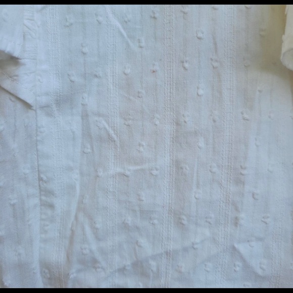 NWT Anthropologie Bishop + Young Ecru Ruffle Sleeve Top - Picture 6 of 6